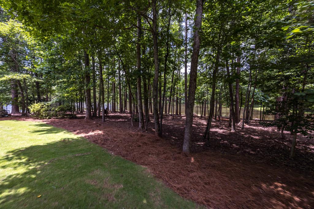 178 Rolling Farm Way Midland, GA 31820 - Photo 7 of 65 a view of a park with lots of trees