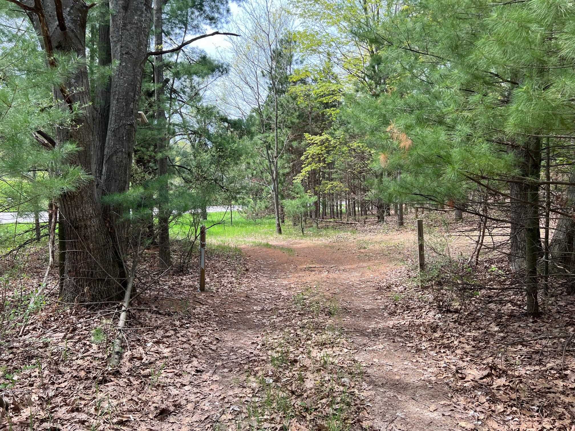 0 Prouty Road Traverse City, MI 49686 - Photo 15 of 40 1917827-8.JPG