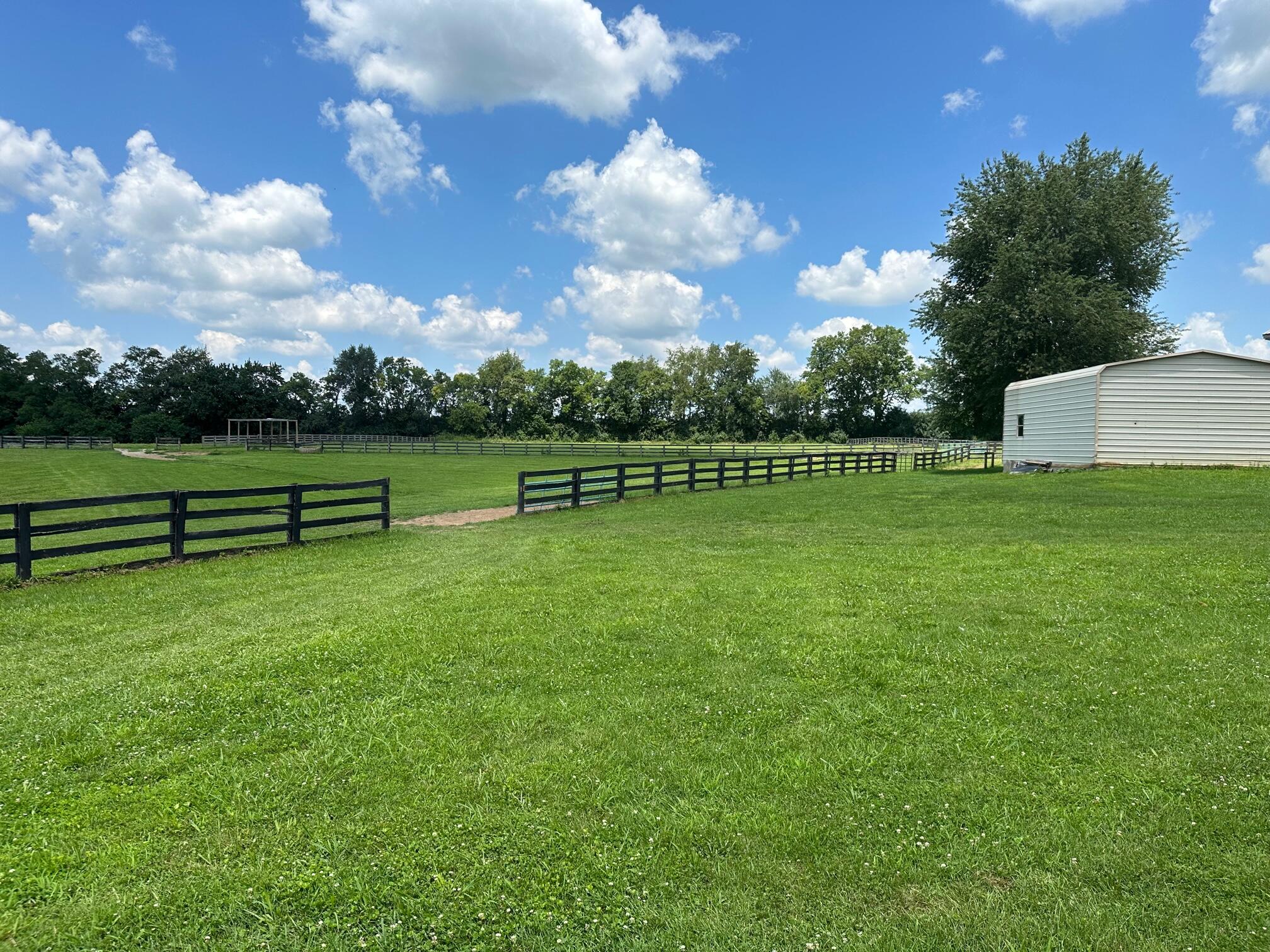 1485 McCowans Ferry Road Versailles, KY 40383 - Photo 25 of 39 field by shed view
