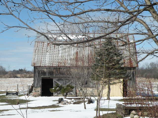 12310 South Morrice Road Morrice, MI 48857 - Photo 38 of 45