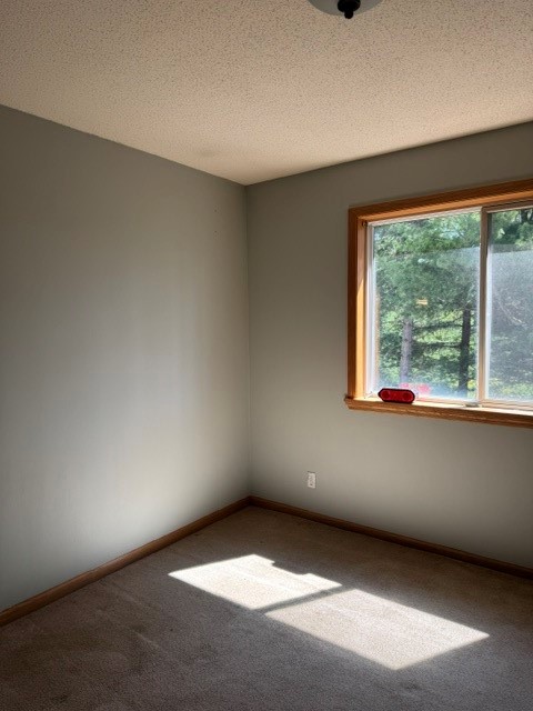 708 Stigney Street Minong, WI 54859 - Photo 21 of 37