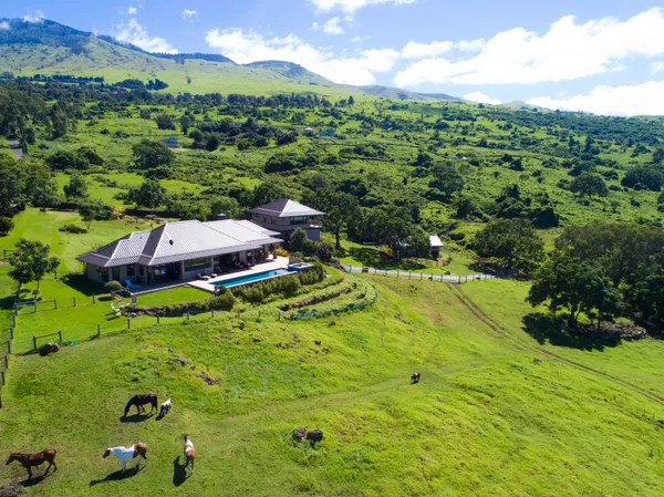a view of an outdoor space yard