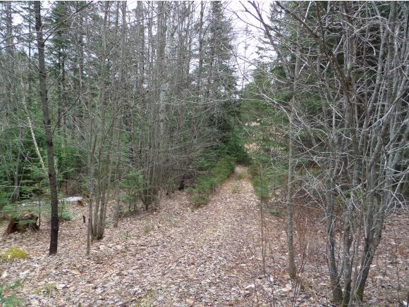 4 Brook Road East Corinth, VT 05040 - Photo 1 of 2