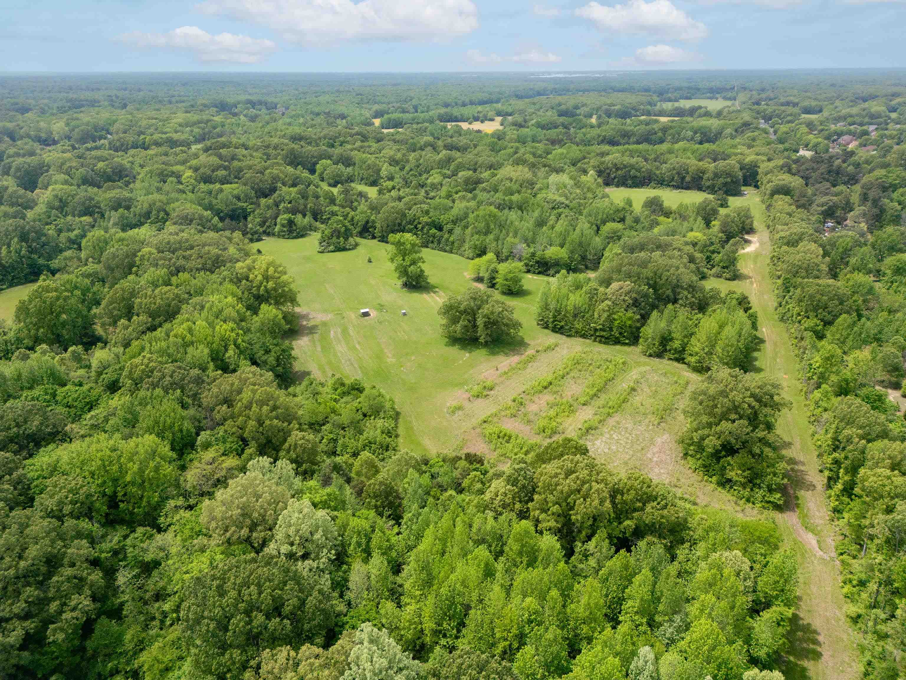 1492 Sycamore Road Collierville, TN 38017 - Photo 8 of 18 Aerial view with a forest view