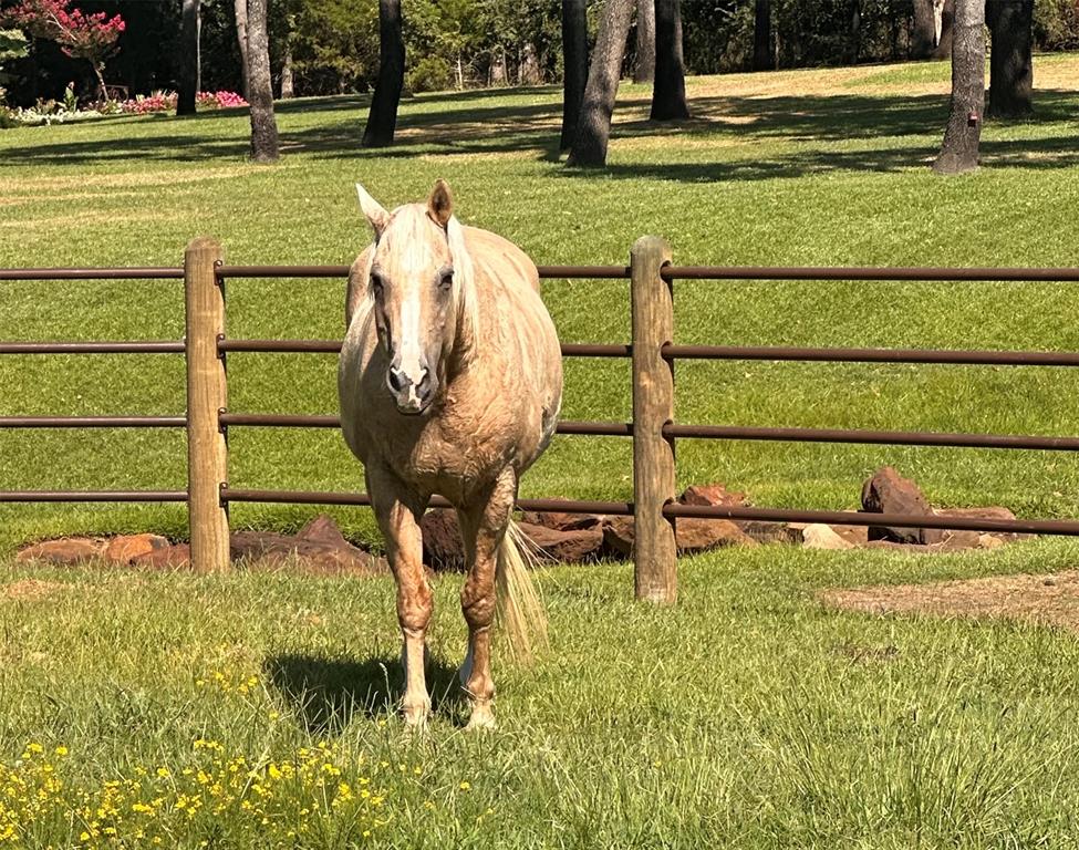 7421 Dawn Avenue Pilot Point, TX 76258 - Photo 2 of 40 a view of swimming pool with outdoor seating and yard