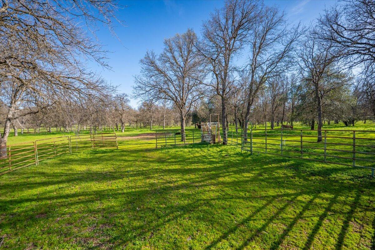 15525 Bowman Road Red Bluff, CA 96080 - Photo 108 of 148 095-15525 Bowman Rd - E-50