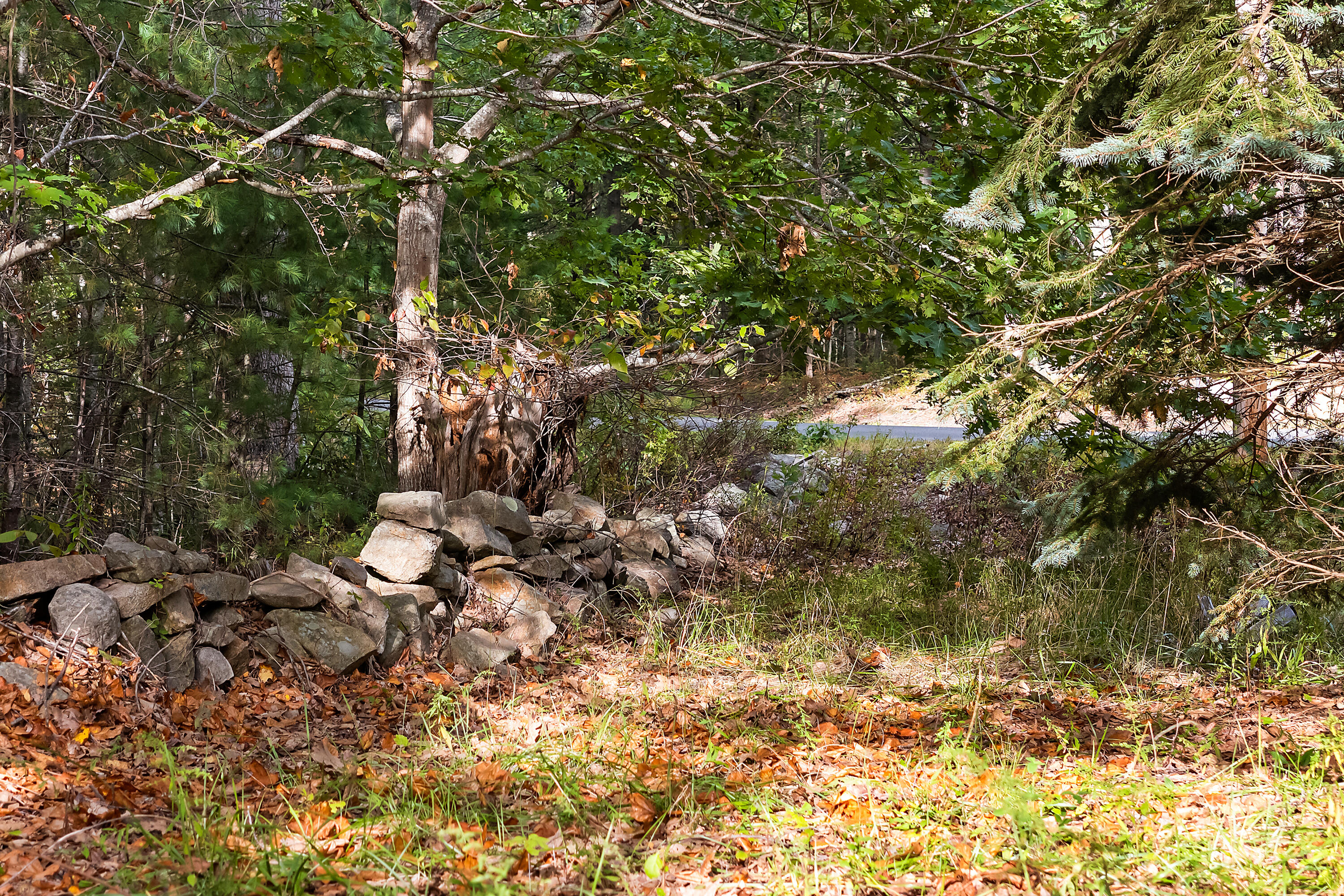 350 Pine Hill Road York, ME 03902 - Photo 12 of 24 350 Pine Hill Rd, Cape Neddick