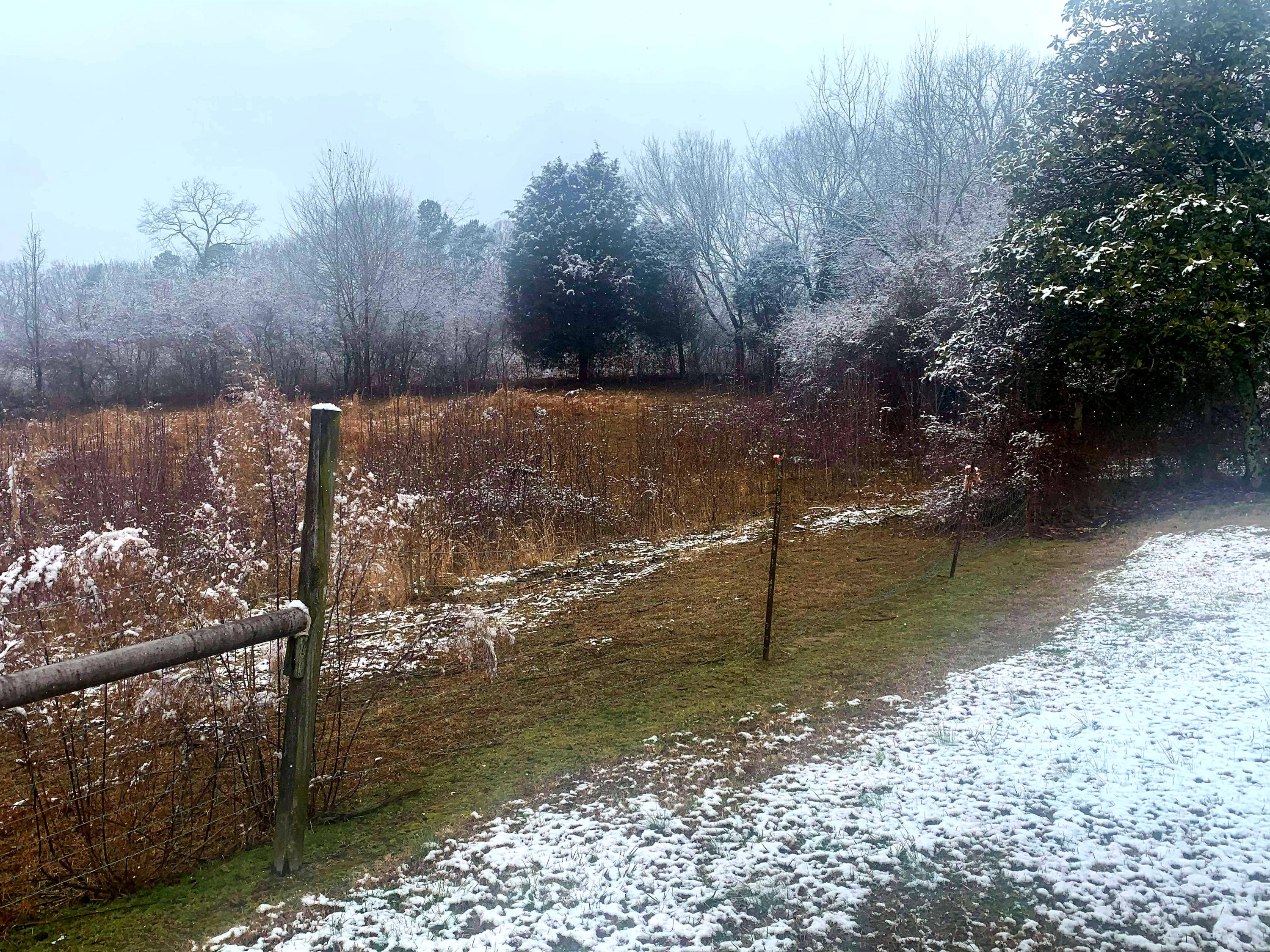 608 Watt Cemetery Road Loudon, TN 37774 - Photo 8 of 8 received_2772348346412737
