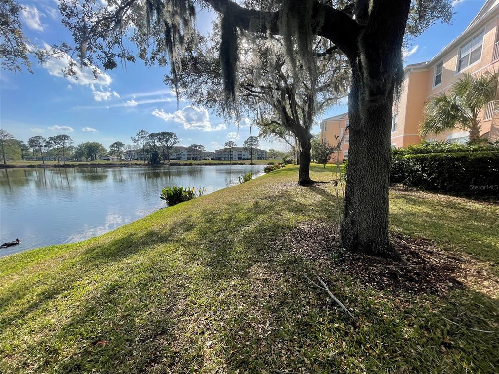 13548 Turtle Marsh Loop, Unit 427 Orlando, FL 32837 - Photo 32 of 34 a view of a lake with a house in the background