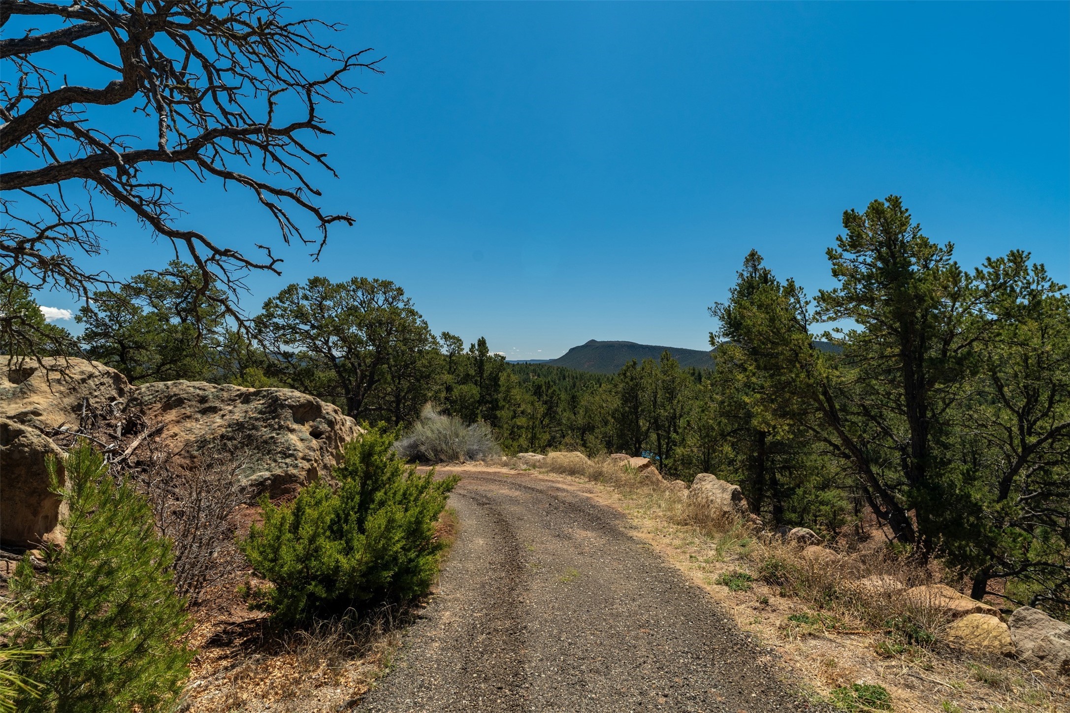 30 Monte La Cueva Road Glorieta, NM 87535 - Photo 1 of 91 Entry driveway