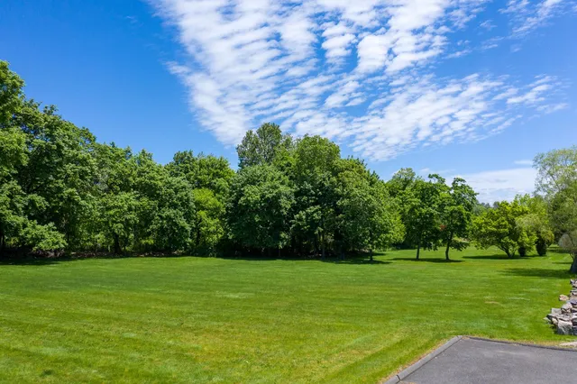 a view of a field of grass and trees
