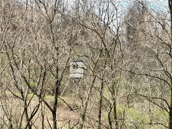 a view of outdoor space with deck and yard