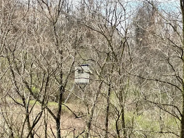 a view of outdoor space with deck and yard