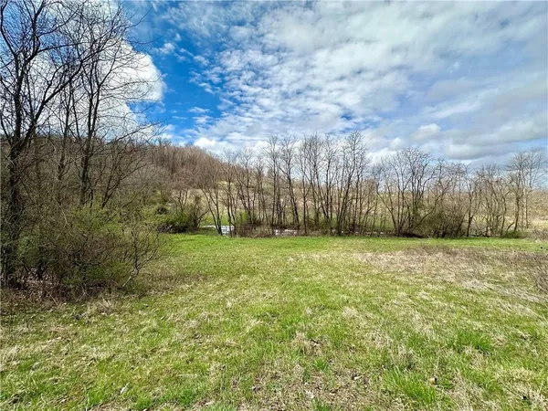 a view of a field with trees