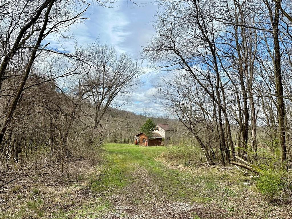 0 Hathaway Road Waynesburg, PA 15370 - Photo 8 of 28 a backyard of a house with lots of green space