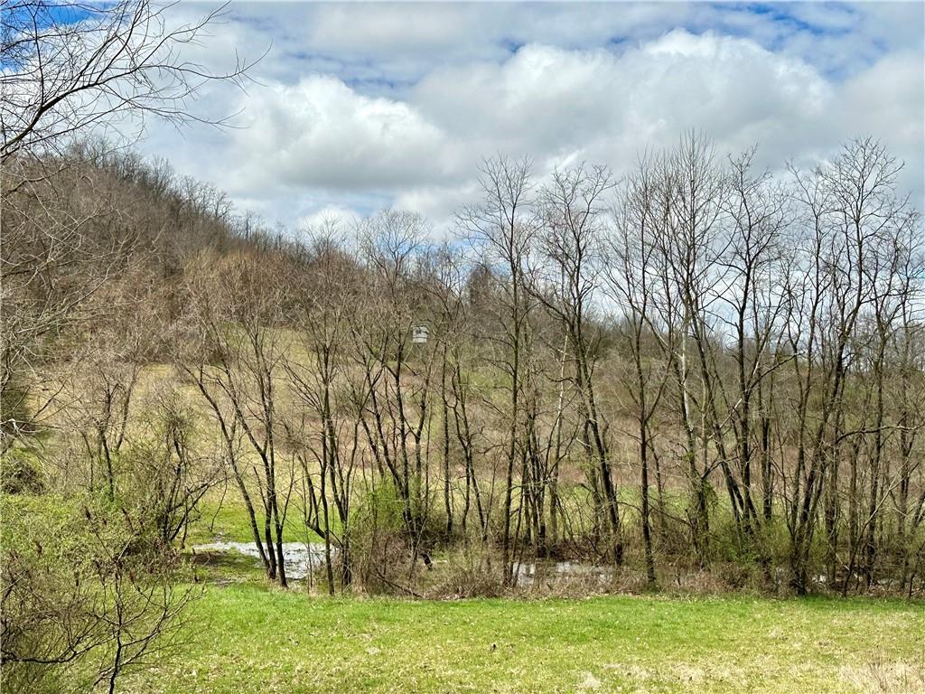 0 Hathaway Road Waynesburg, PA 15370 - Photo 9 of 28 a view of backyard with green space