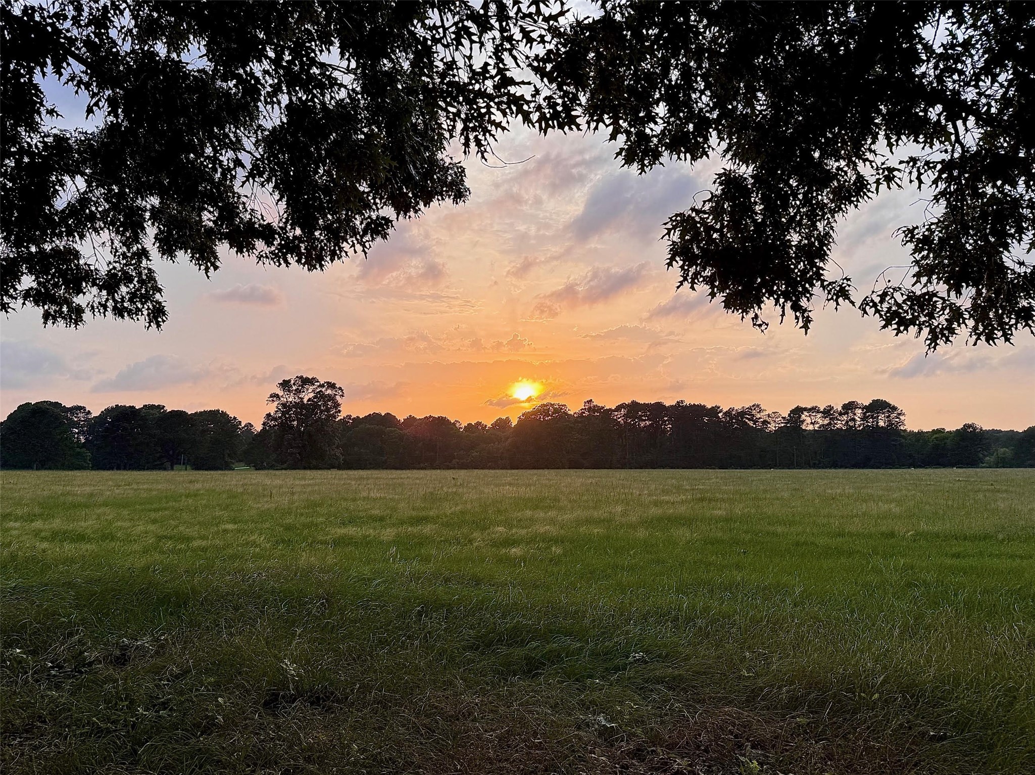 a view of grassy field with mountain