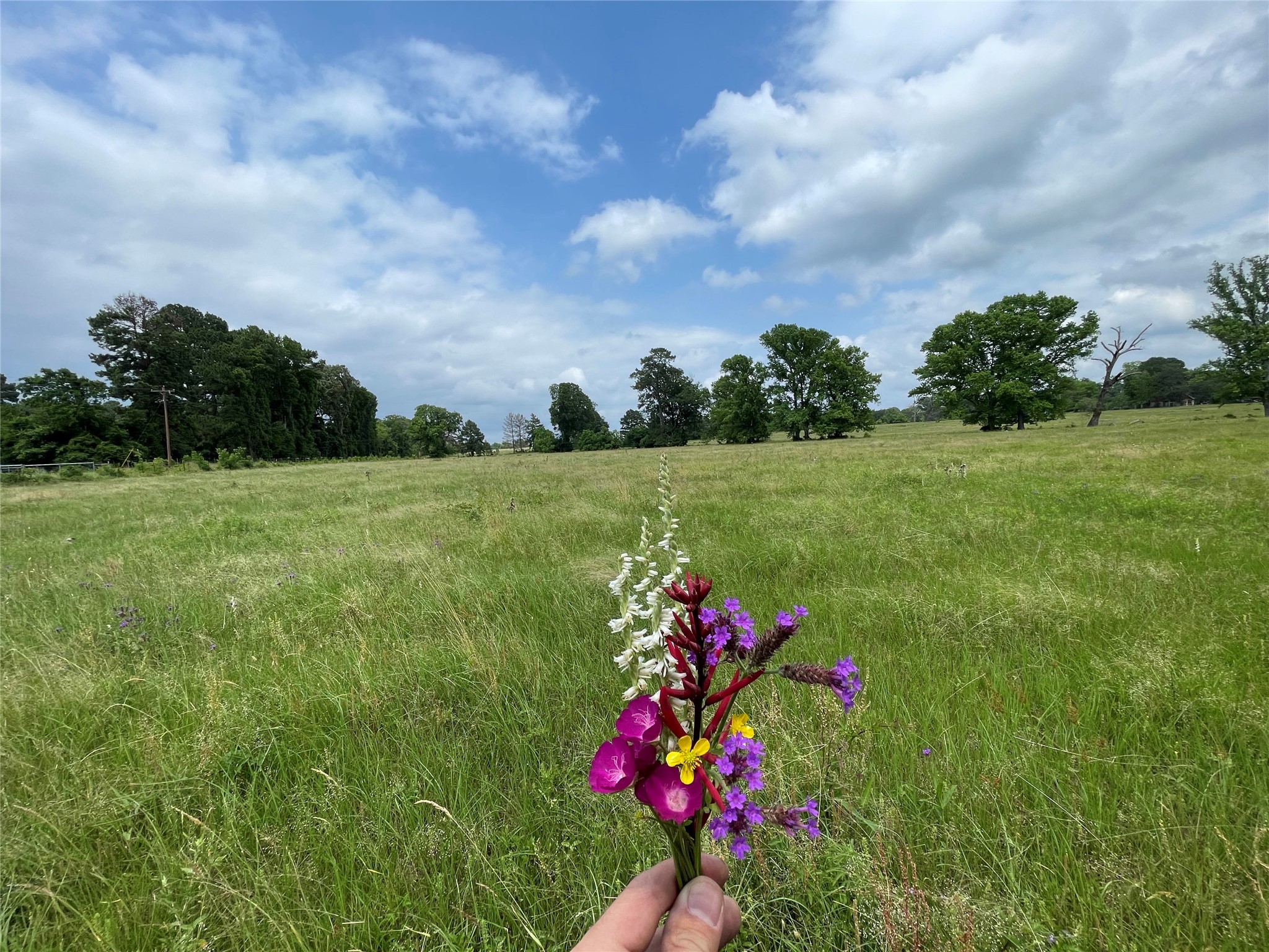 934 Jones Road New Waverly, TX 77358 - Photo 5 of 6 a front view of a house with a yard