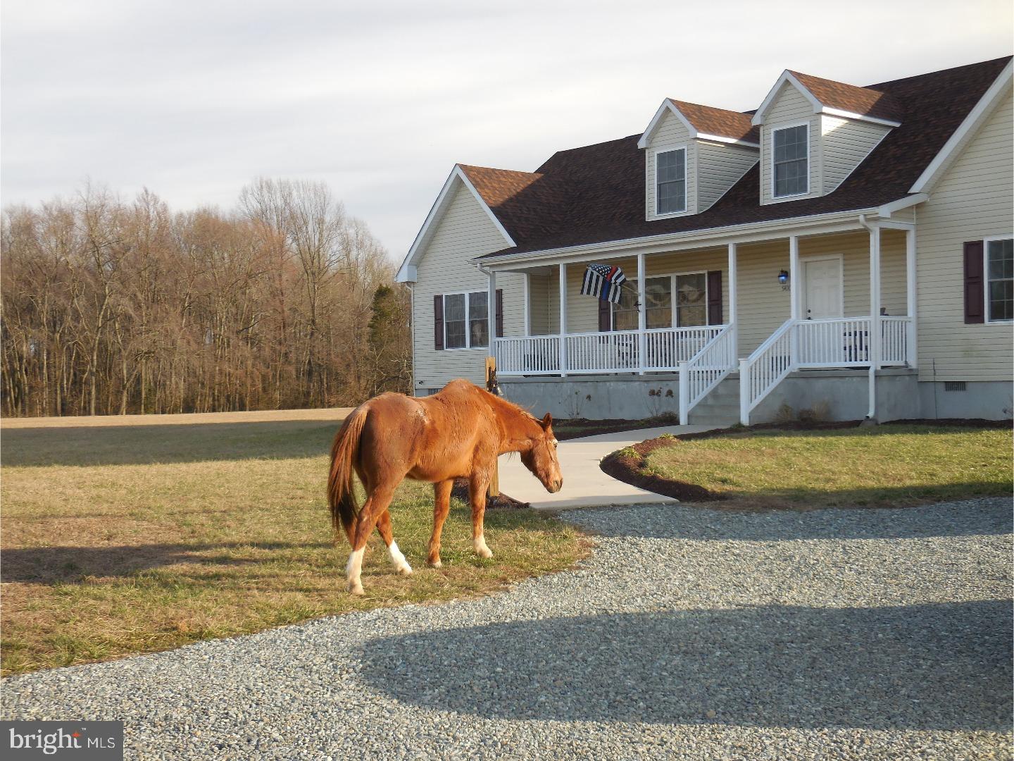900 Grears Corner Road Townsend, DE 19734 - Photo 1 of 18 Exterior Front