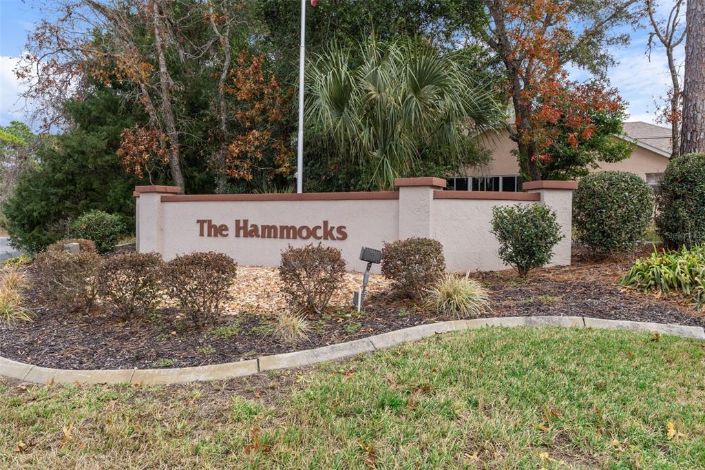 15 Byrsonima Loop Homosassa, FL 34446 - Photo 45 of 70