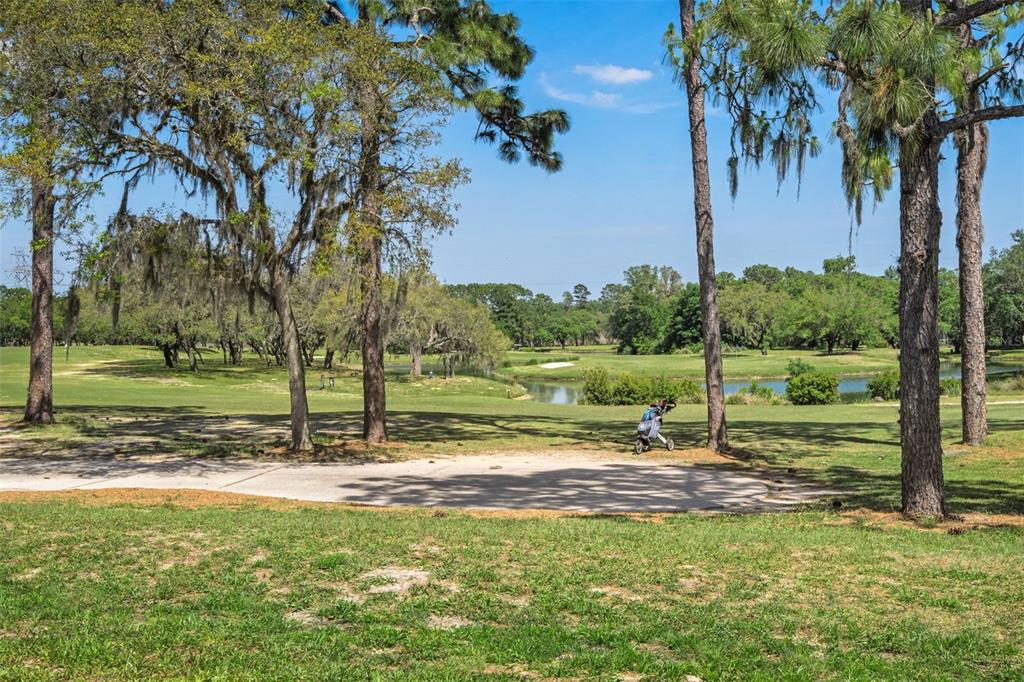 15 Byrsonima Loop Homosassa, FL 34446 - Photo 70 of 70