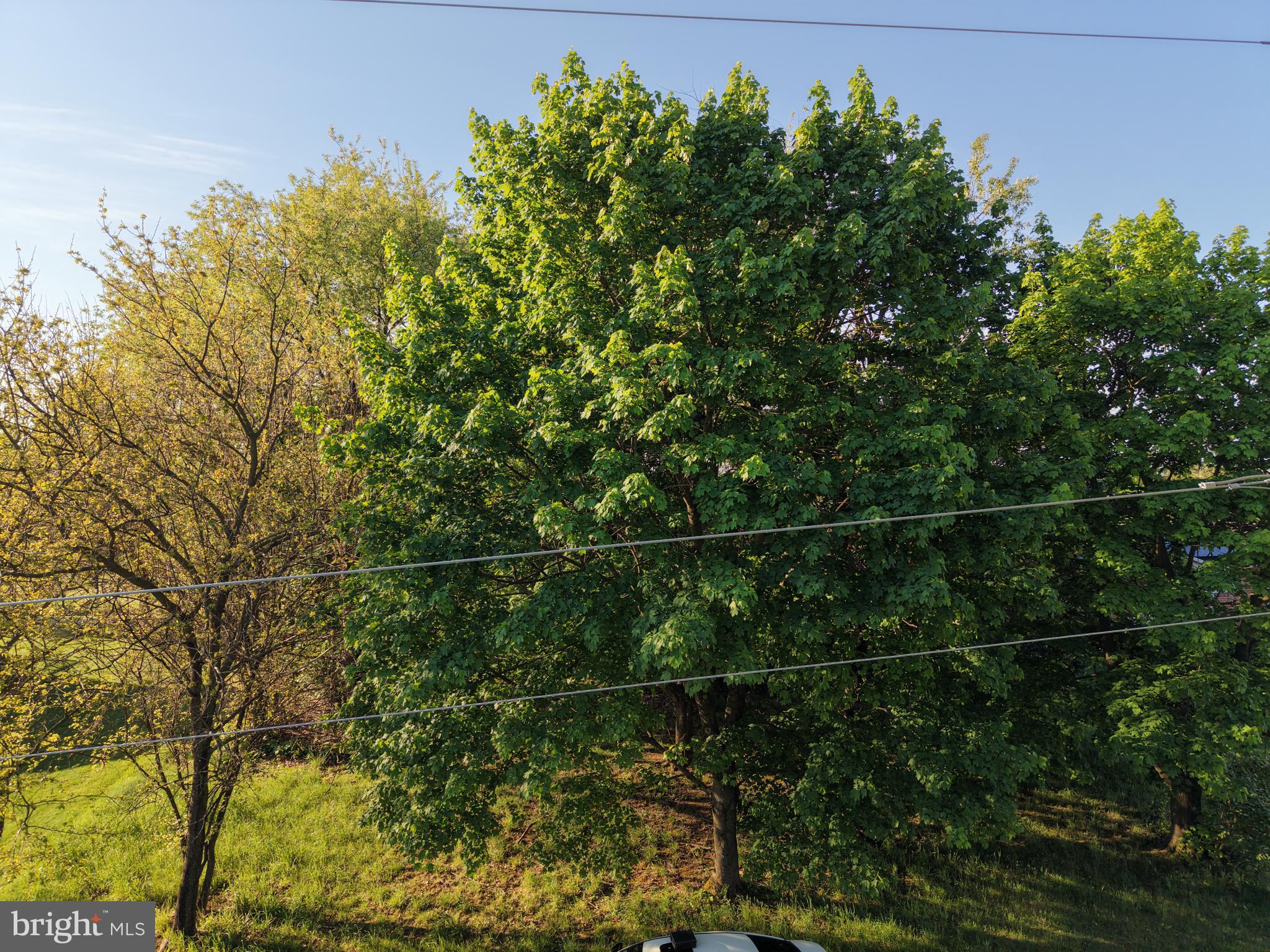 1290 Brechbill Road Chambersburg, PA 17202 - Photo 4 of 17 Gallery Image 4