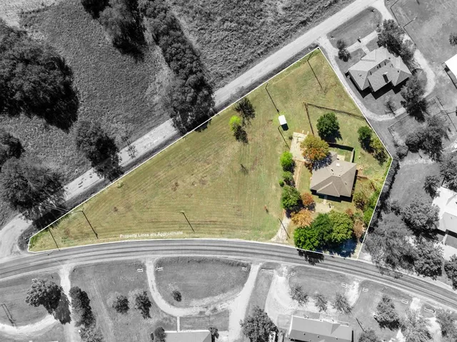 a view of swimming pool with a potted plant