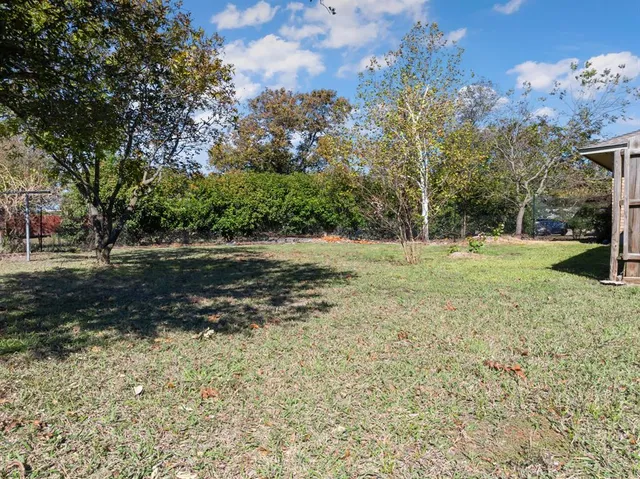 a view of dirt yard with a large tree