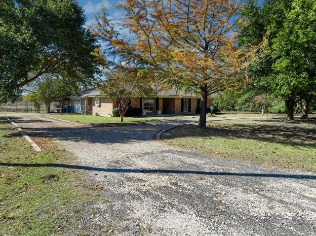 a view of a large yard with large trees