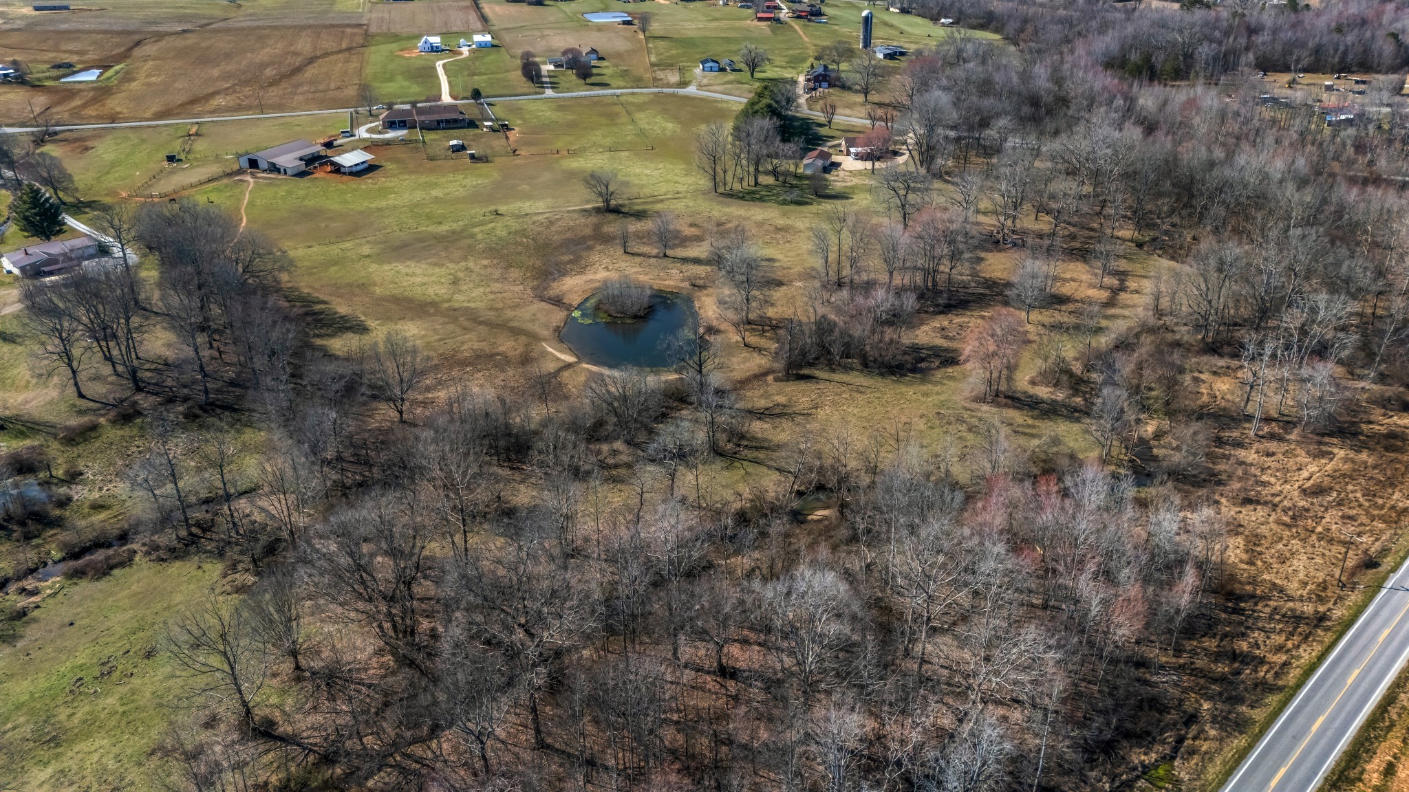 158 Big Springs Road Lawrenceburg, TN 38464 - Photo 15 of 54 a view of lot of trees