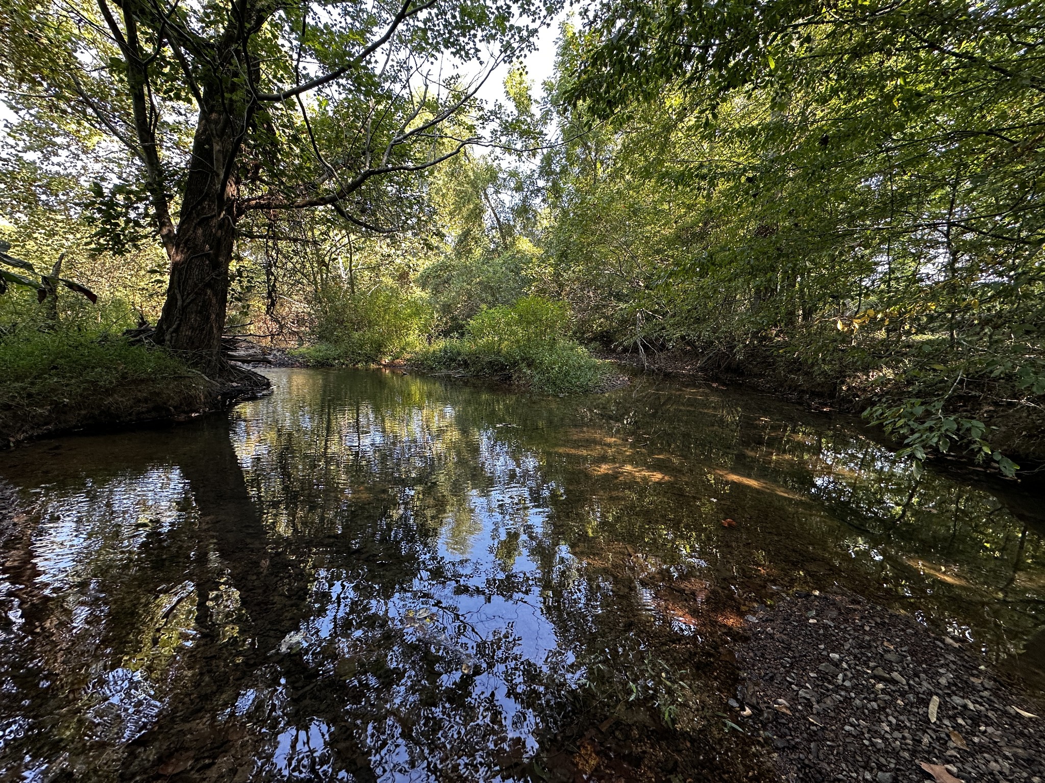 158 Big Springs Road Lawrenceburg, TN 38464 - Photo 48 of 54 a view of lake