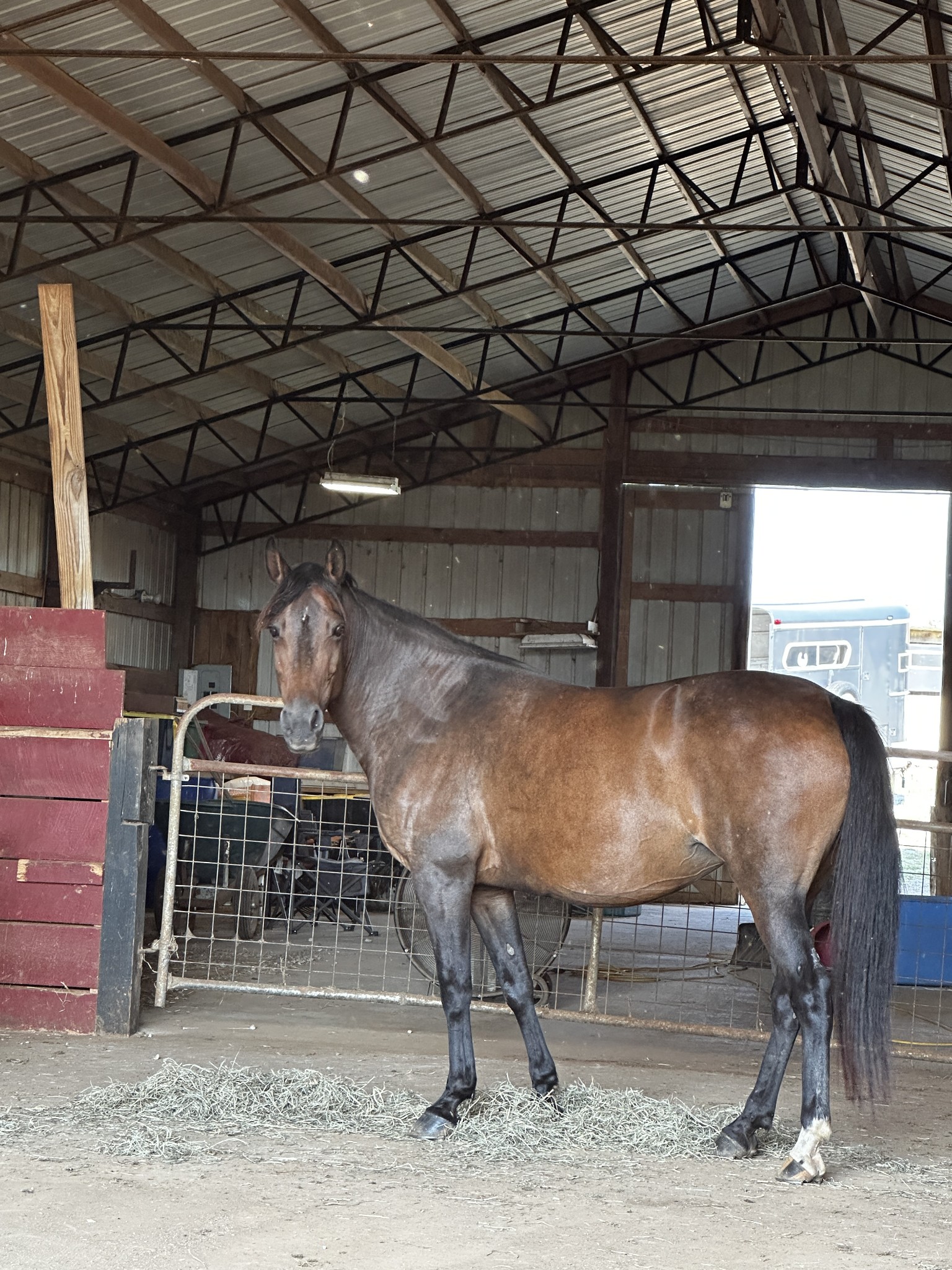 158 Big Springs Road Lawrenceburg, TN 38464 - Photo 50 of 54 a room with gym equipment