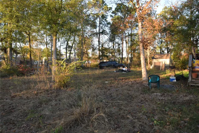 a view of a park with large trees