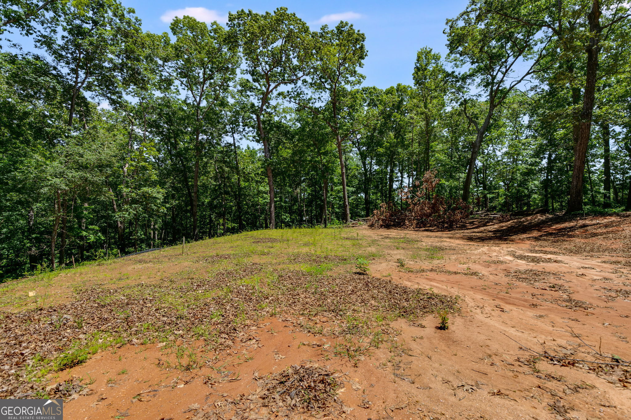 85 Eureka Church Road Carrollton, GA 30117 - Photo 1 of 1 Gallery Image 1