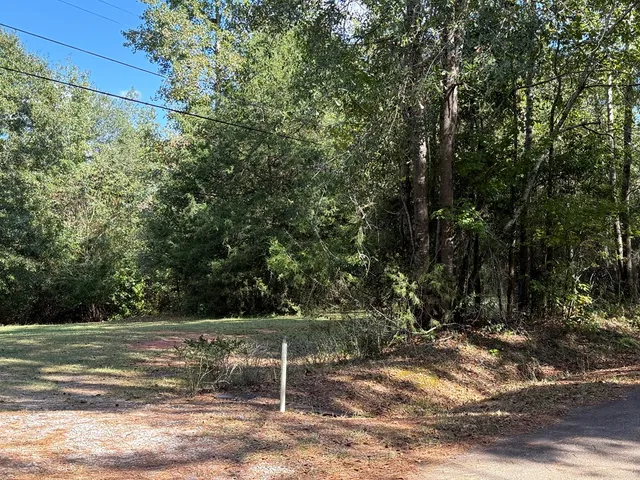 a view of backyard with green space