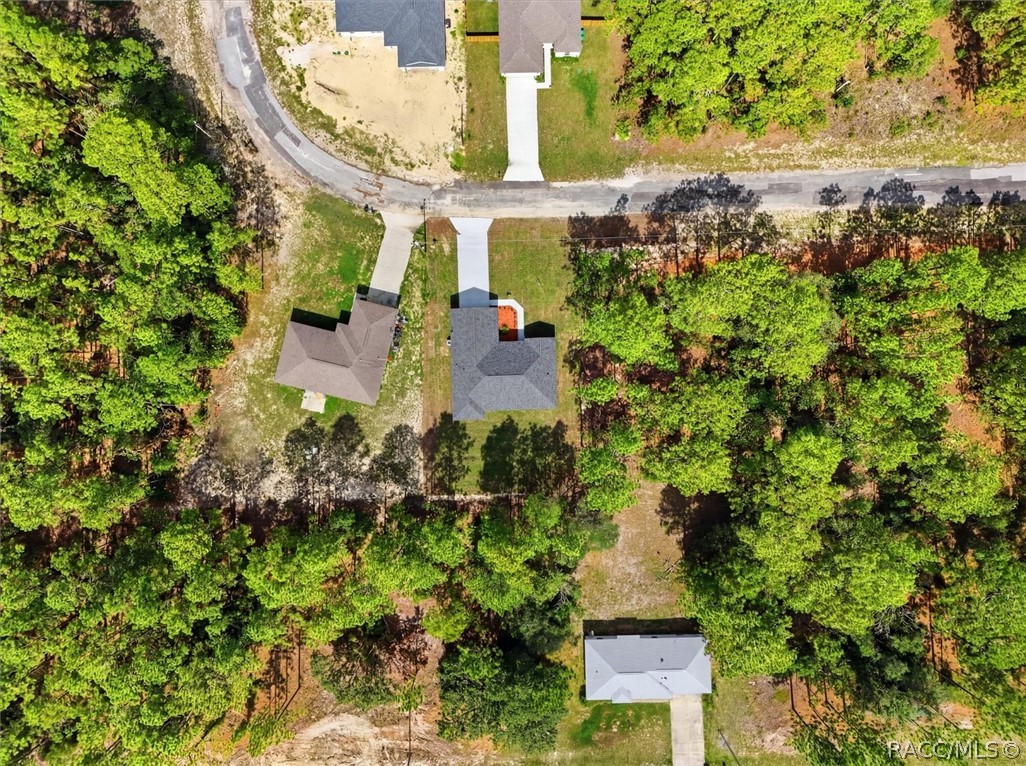 7745 North Janeaux Drive Citrus Springs, FL 34434 - Photo 47 of 53