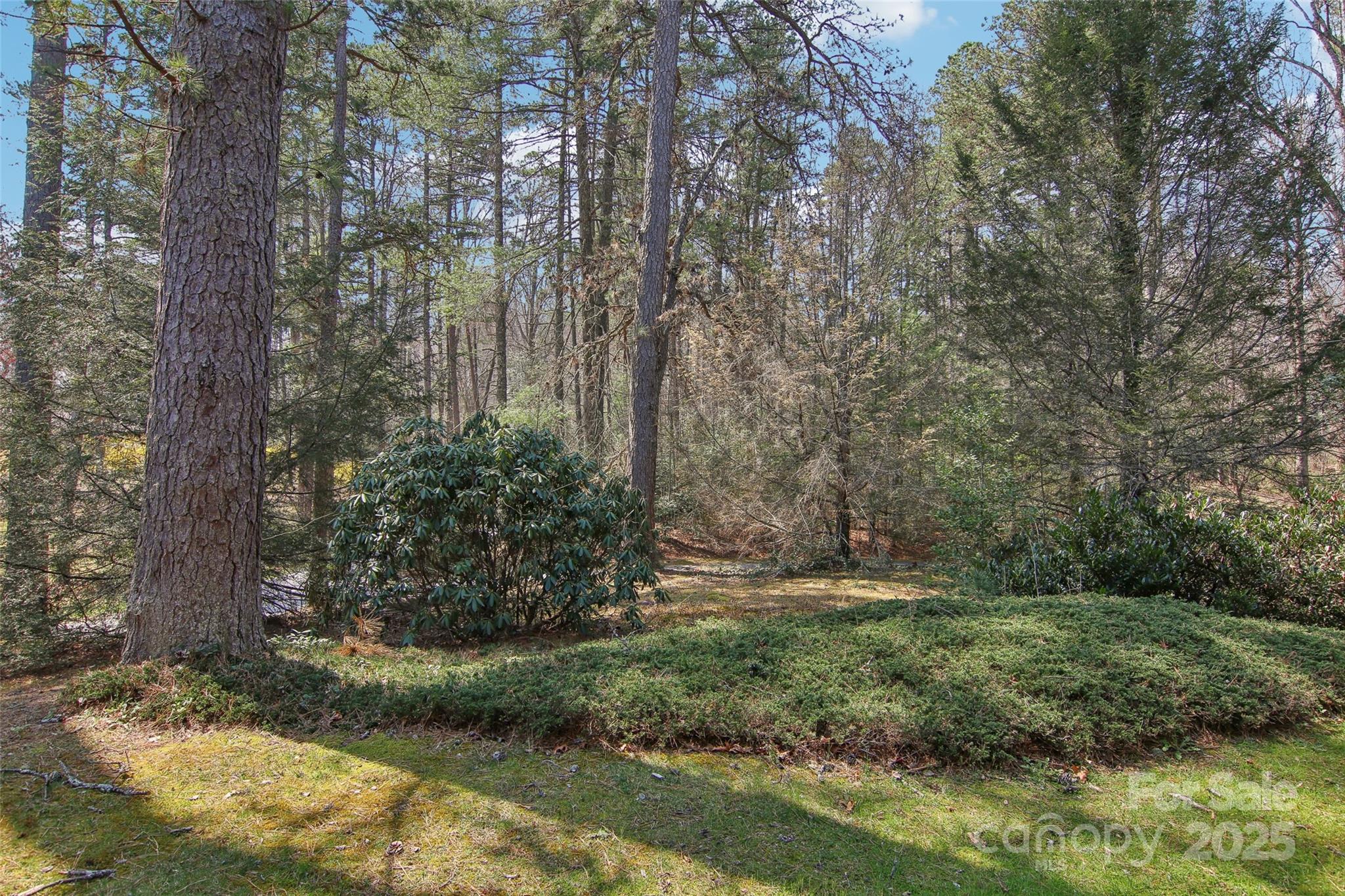 47 Ridgetop Circle, Unit 102 Brevard, NC 28712 - Photo 24 of 34 Gallery Image 24