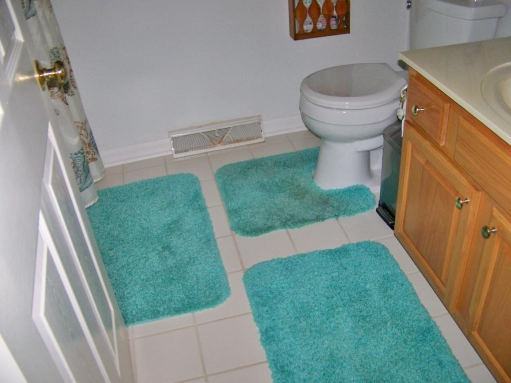 2517 Devault Bridge Road Piney Flats, TN 37686 - Photo 12 of 22 Second Bath