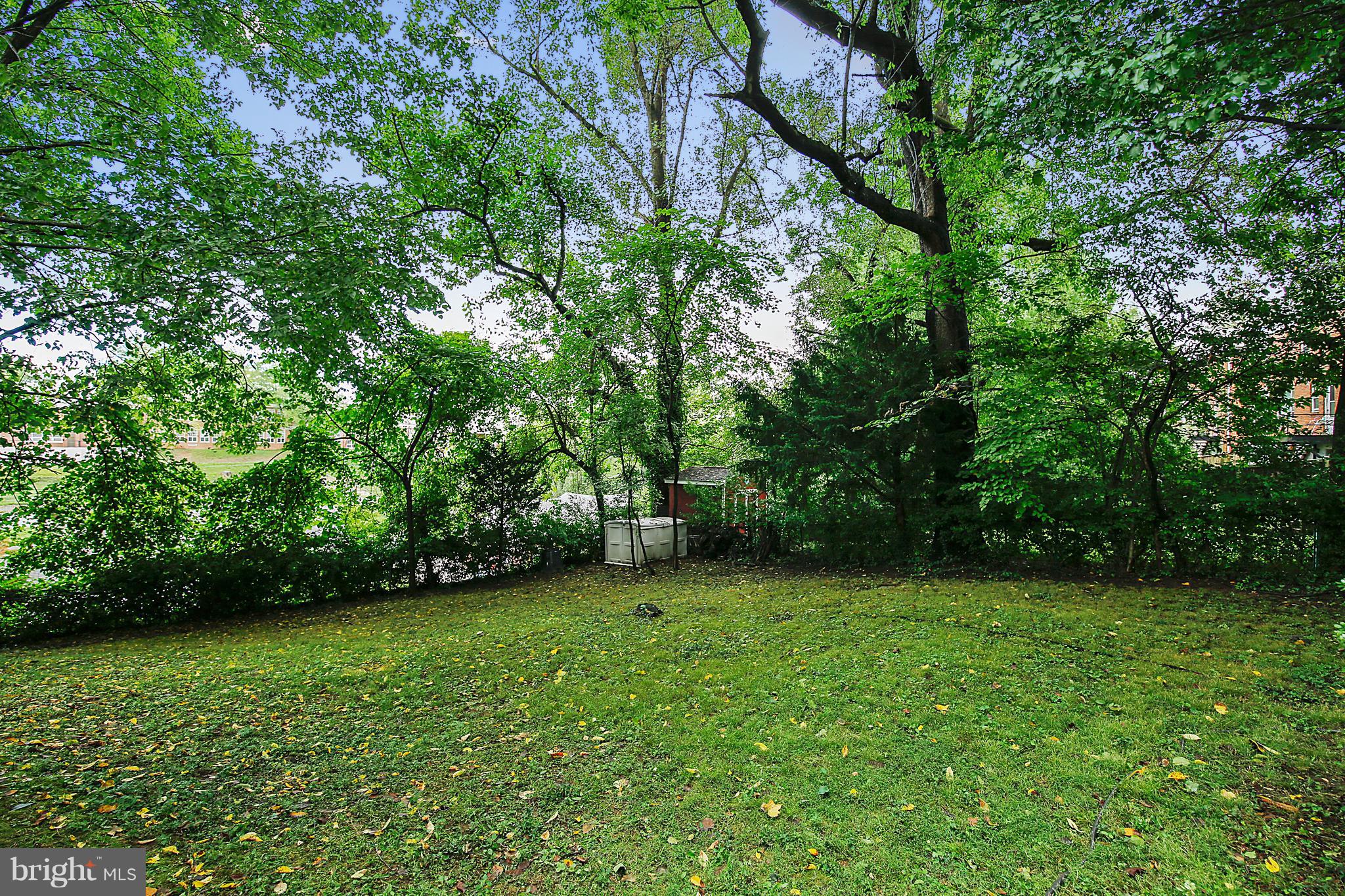 305 Wayne Place Silver Spring, MD 20910 - Photo 24 of 29 a view of a green yard