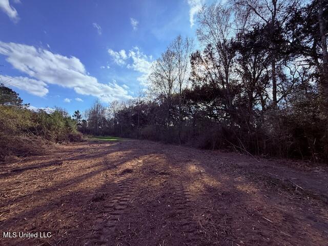 62182 West Stateline Road Franklinton, LA 70438 - Photo 12 of 51 IMG_2100