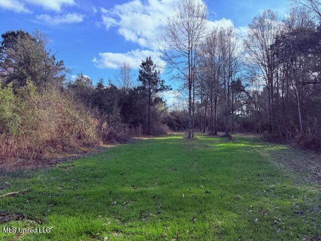 62182 West Stateline Road Franklinton, LA 70438 - Photo 13 of 51 IMG_2101