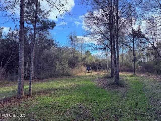 $71,337 | 62182 West Stateline Road, Franklinton, LA 70438