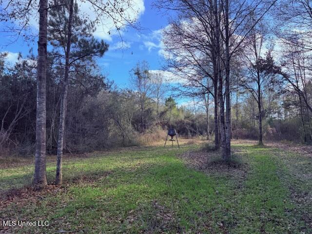 62182 West Stateline Road Franklinton, LA 70438 - Photo 14 of 51 IMG_2103