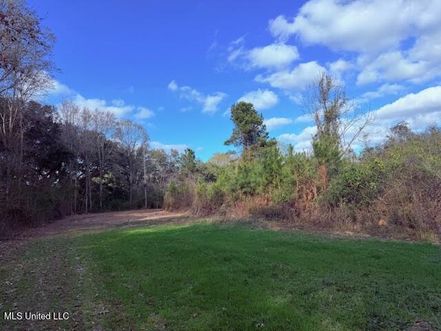 62182 West Stateline Road Franklinton, LA 70438 - Photo 15 of 51 IMG_2104