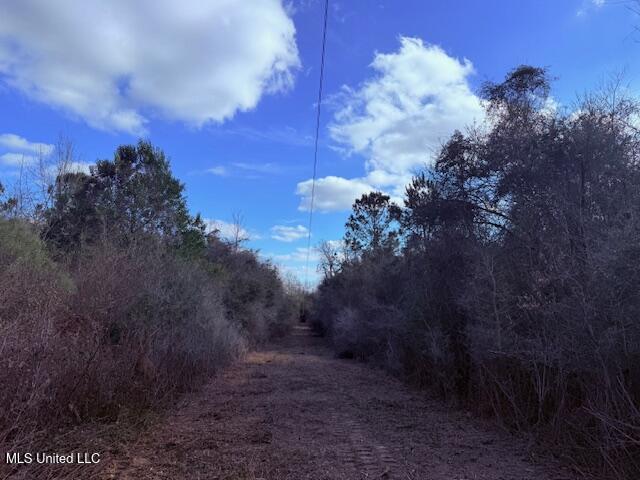 62182 West Stateline Road Franklinton, LA 70438 - Photo 16 of 51 IMG_2105