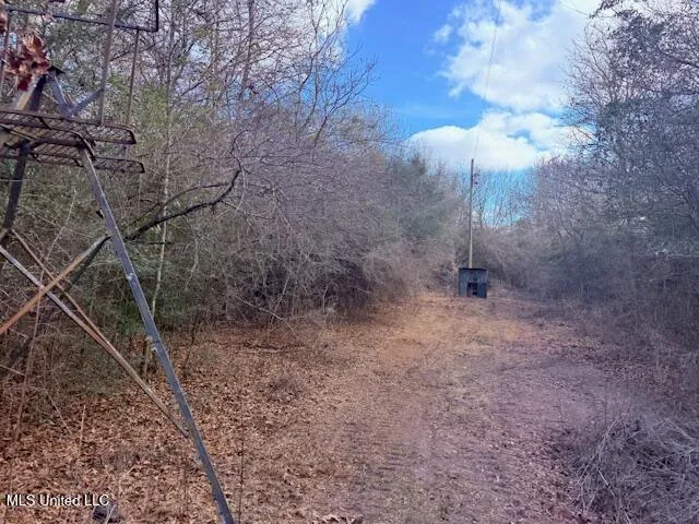 $71,337 | 62182 West Stateline Road, Franklinton, LA 70438