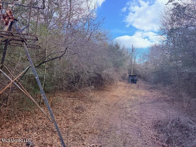 62182 West Stateline Road Franklinton, LA 70438 - Photo 17 of 51 IMG_2106