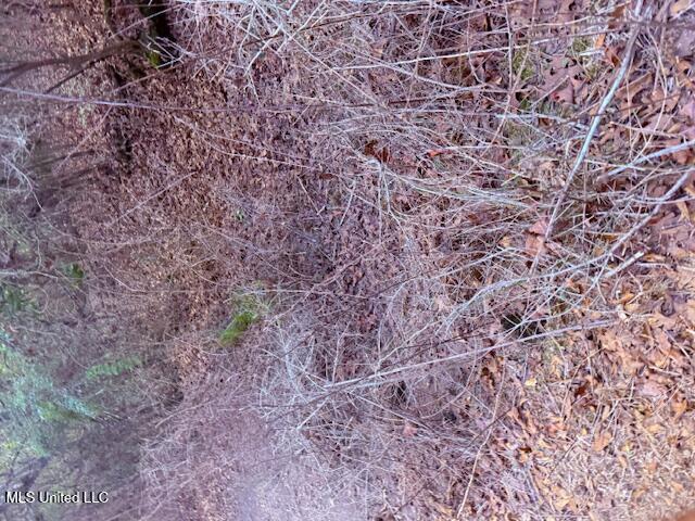 62182 West Stateline Road Franklinton, LA 70438 - Photo 19 of 51 IMG_2108