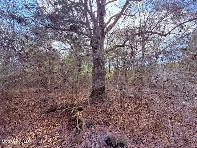 $71,337 | 62182 West Stateline Road, Franklinton, LA 70438