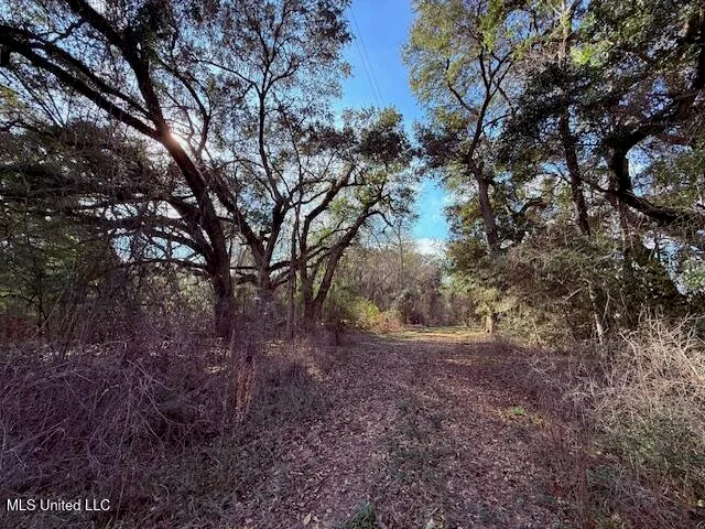 $71,337 | 62182 West Stateline Road, Franklinton, LA 70438